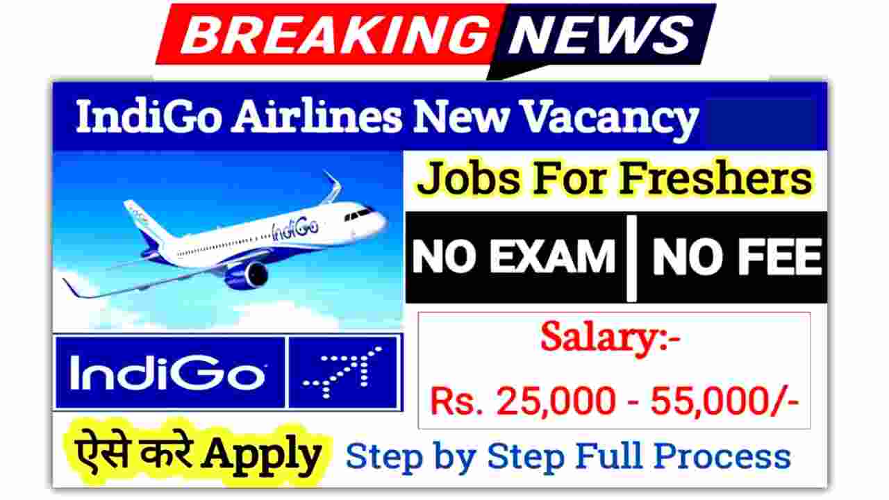 Indigo Airlines Jobs Vacancy